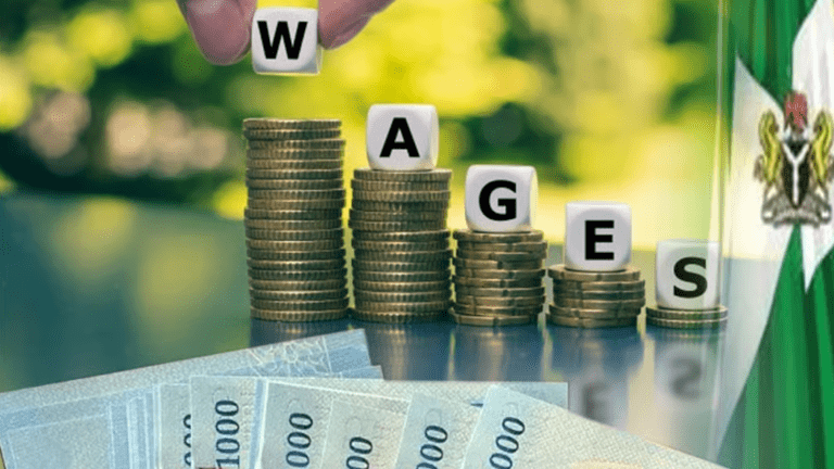 Public vs Private Sector Salaries in Nigeria: Which Truly Pays More?